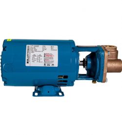 Burks 7CT6M, 3/4HP, Bronze Fitted, 60hz, 1 Phase, 3450RPM Close Coupled Turbine Pump