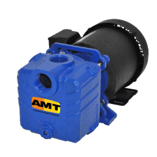 AMT 285E-95 - Cast Iron Self-Priming Centrifugal Pump - 1in. to 1.25in. NPT