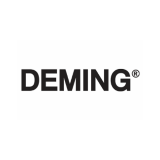 Deming Pumps and Parts