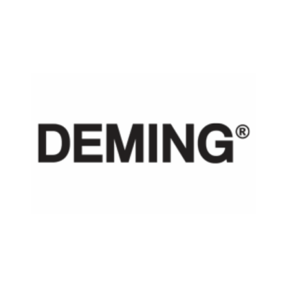 Deming Pumps and Parts