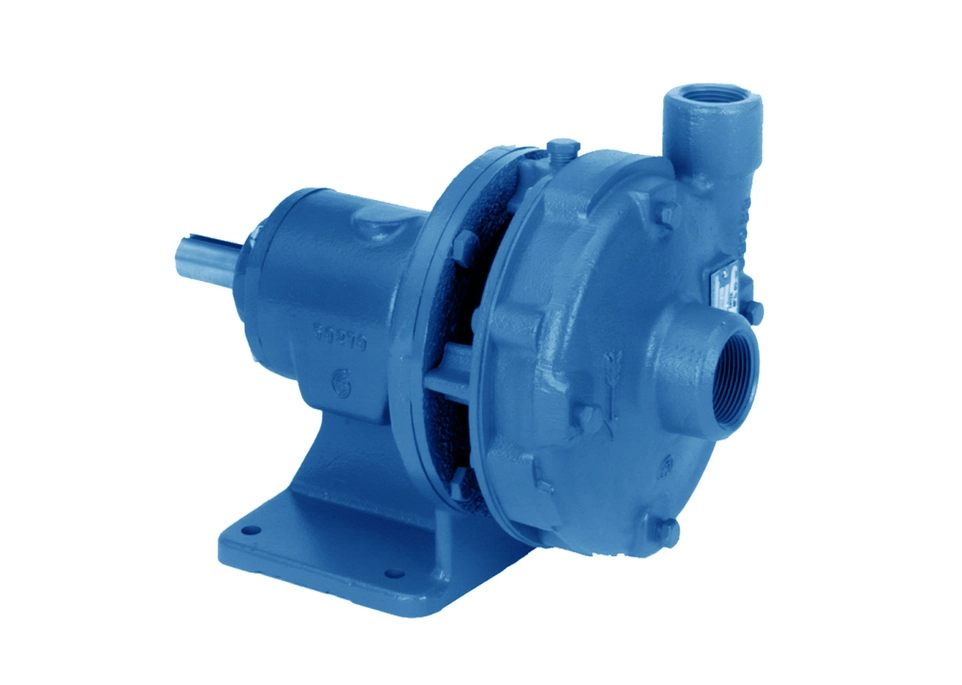 Goulds F1BF05 | Southern Water Service